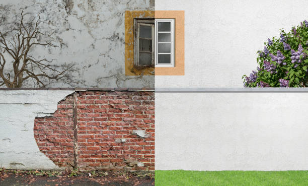 Best Basement Mold Removal  in Phillipsburg, GA