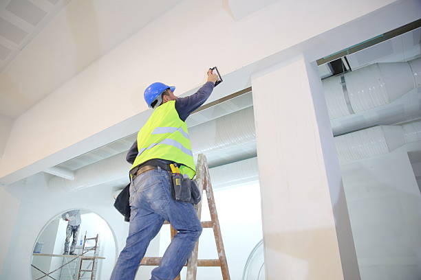 Best Comprehensive Air Testing for Mold Contaminants  in Phillipsburg, GA
