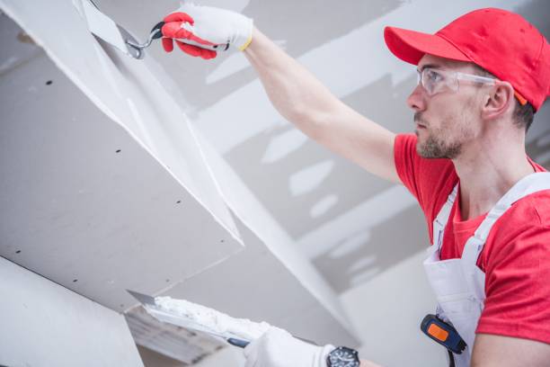 Professional Mold Removal in Phillipsburg, GA